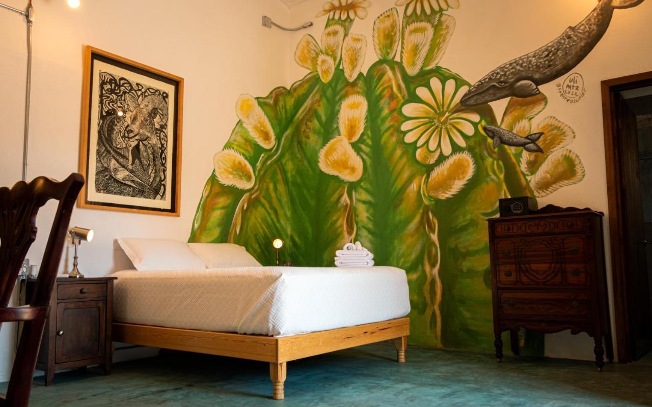 Casa Bahia Otel La Paz Dış mekan fotoğraf